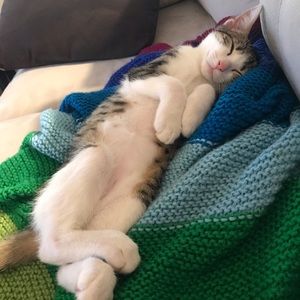 Meet your Posher, Lezley